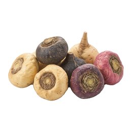 Maca